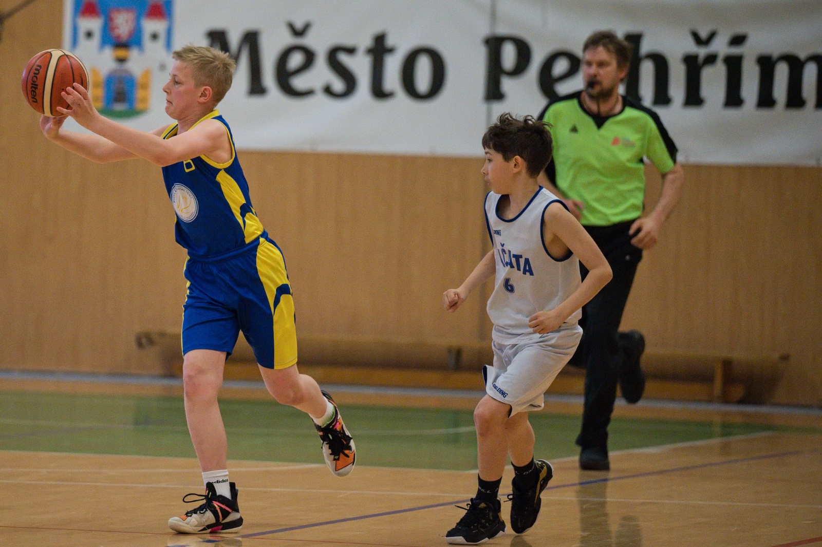  DSC8638 (1)